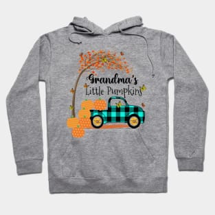 Grandmas Little Pumpkins Shirt, Nana Little Pumpkins Gifts for Mom Mother Hoodie